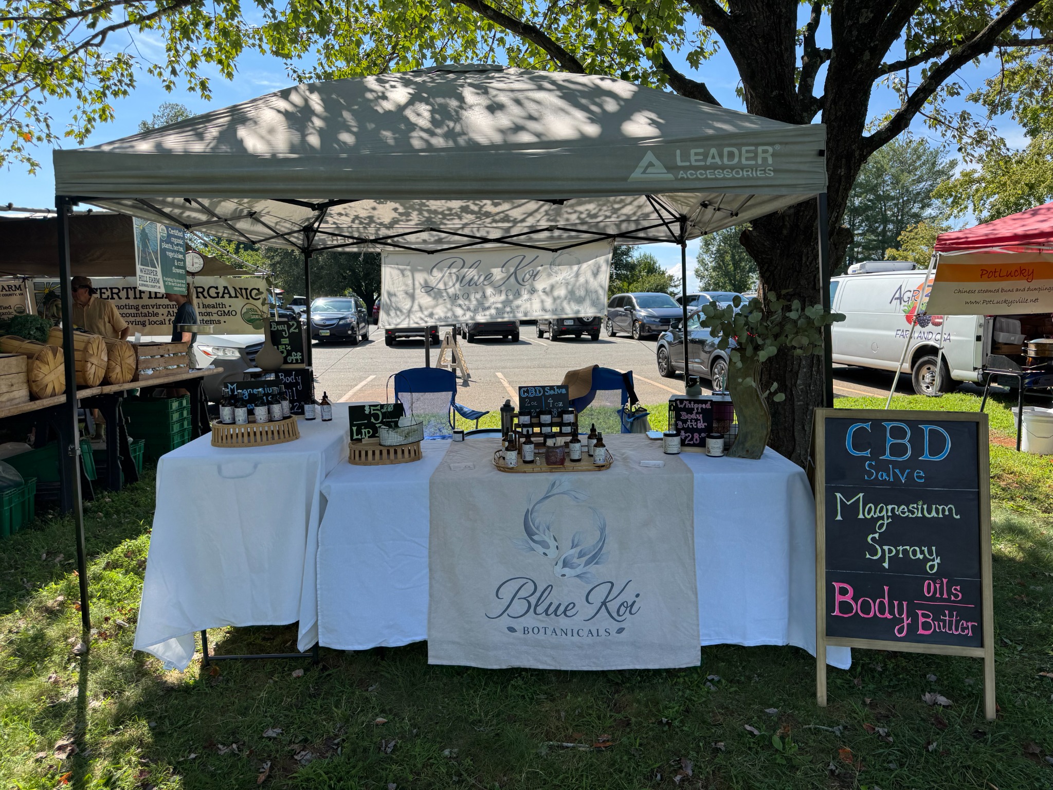 The Blue Koi Botanicals tent and product display at a farmers market